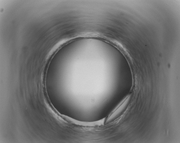 X0000086061422200704202049