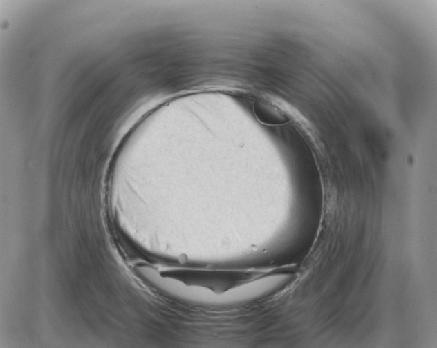 X0000086061423200704202049