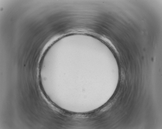 X0000086061424200704202049