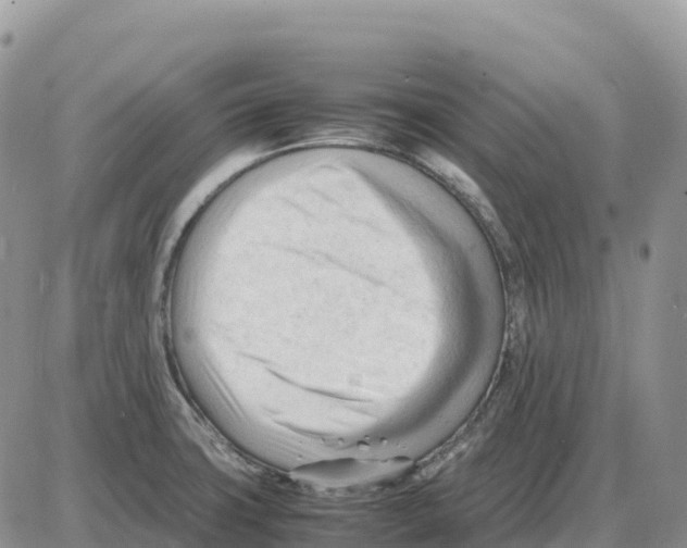 X0000086061427200704202050