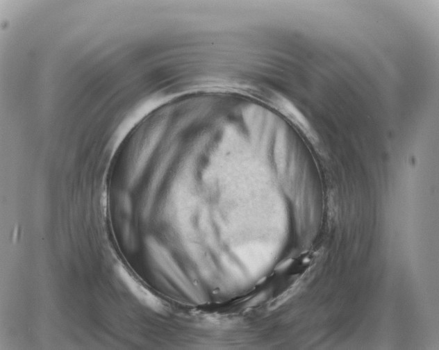 X0000086061428200704202050