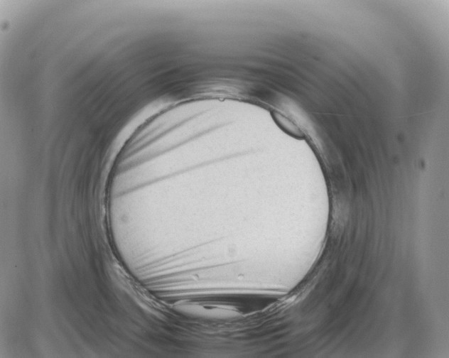 X0000086061435200704202050