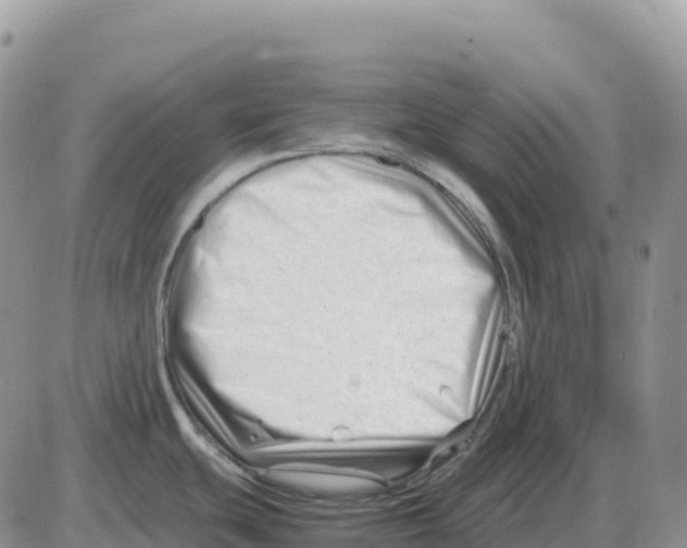 X0000086061439200704202050