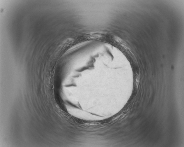 X0000086061441200704202049