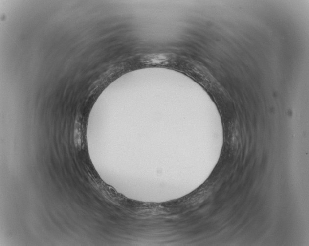 X0000086061442200704202049