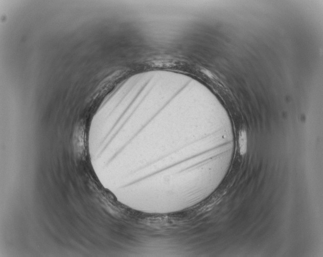 X0000086061444200704202049