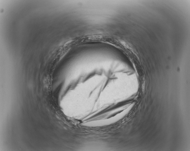 X0000086061445200704202049