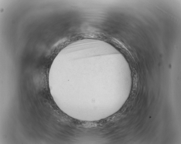 X0000086061446200704202049