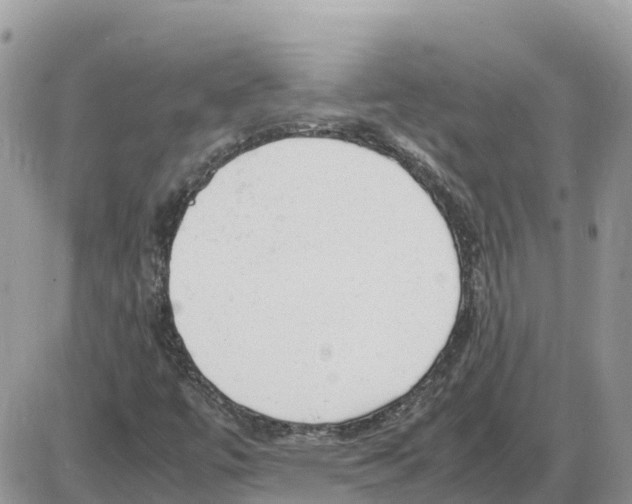 X0000086061447200704202049