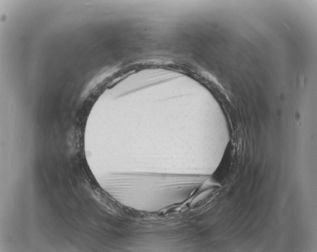 X0000086061448200704202049