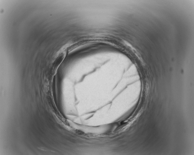 X0000086061449200704202049