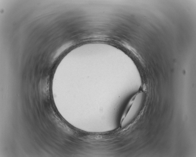 X0000086061450200704202049