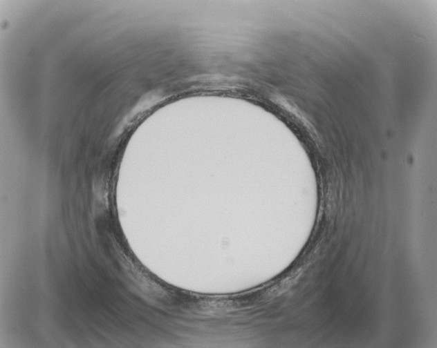 X0000086061451200704202049