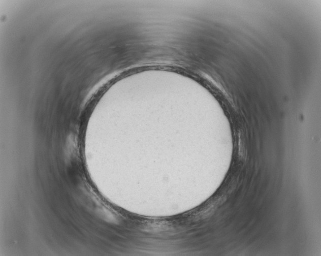 X0000086061452200704202049