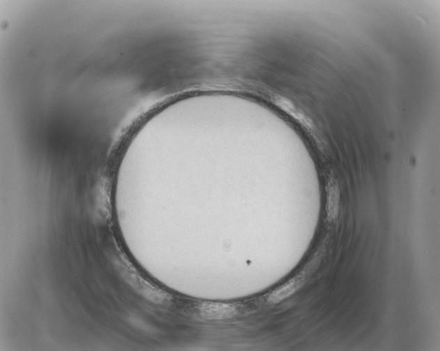 X0000086061454200704202049