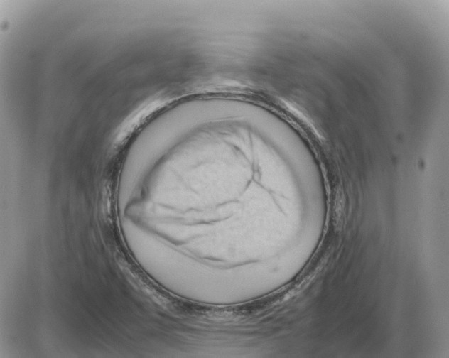 X0000086061455200704202049