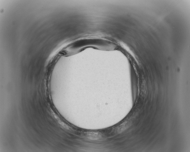 X0000086061456200704202049