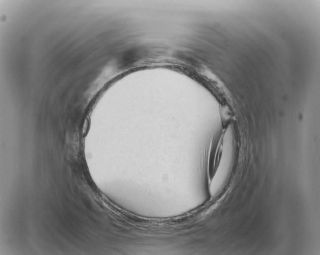 X0000086061457200704202049