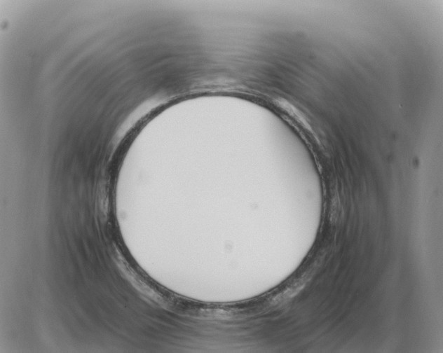 X0000086061458200704202049