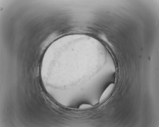 X0000086061459200704202049