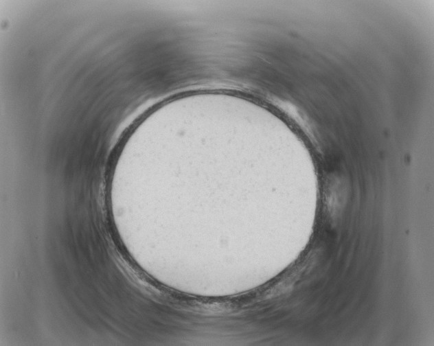 X0000086061460200704202049