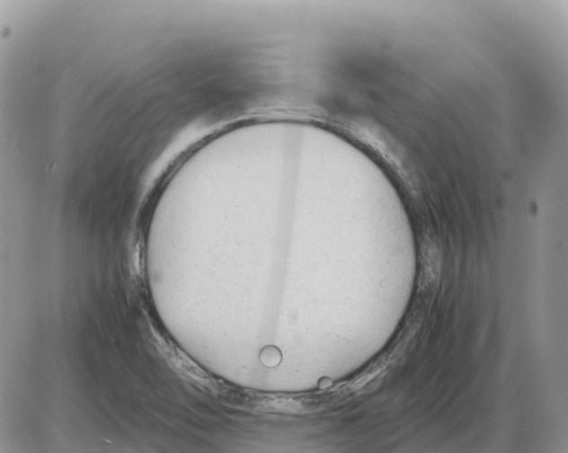 X0000086061462200704202049