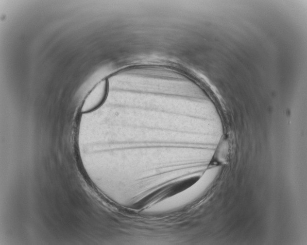 X0000086061463200704202049