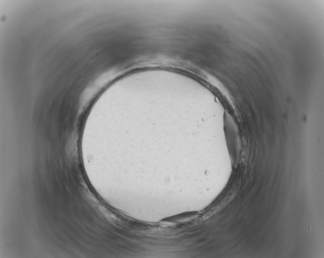 X0000086061464200704202049