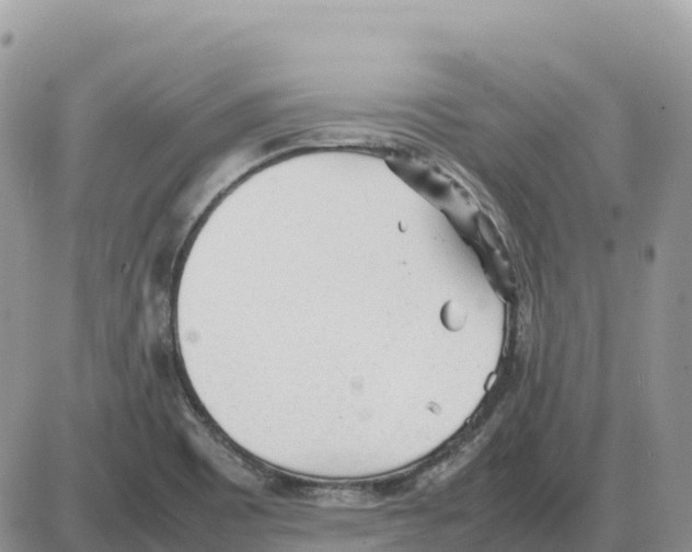 X0000086061465200704202049