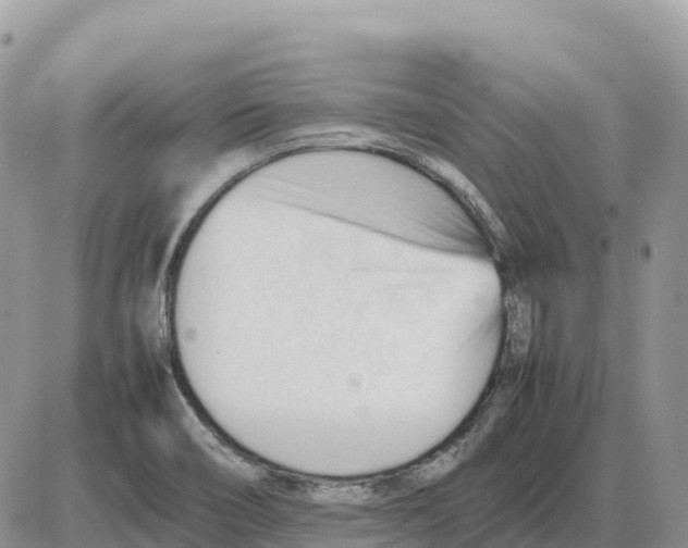 X0000086061466200704202049