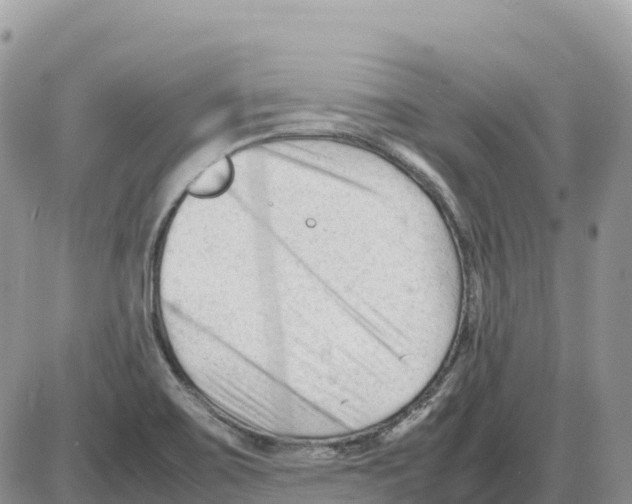 X0000086061467200704202049