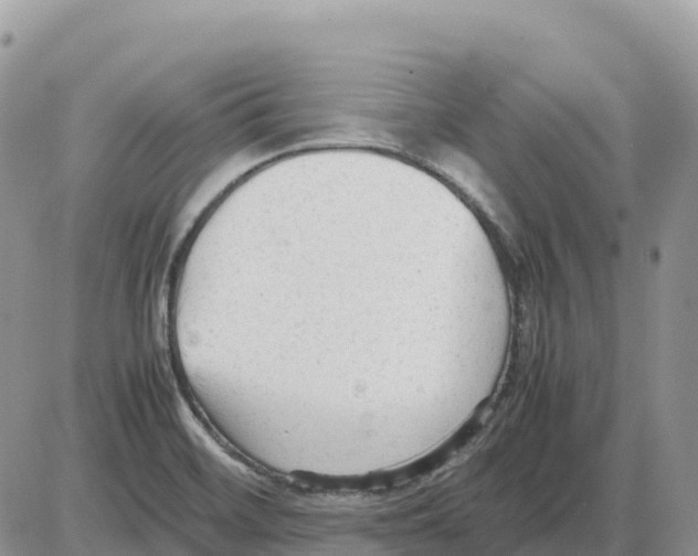 X0000086061468200704202049