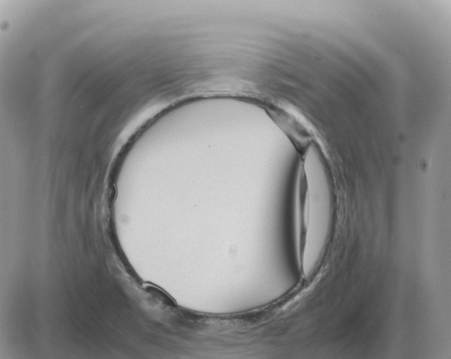 X0000086061469200704202049