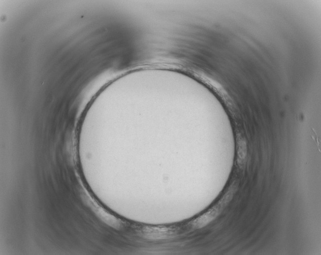 X0000086061470200704202049