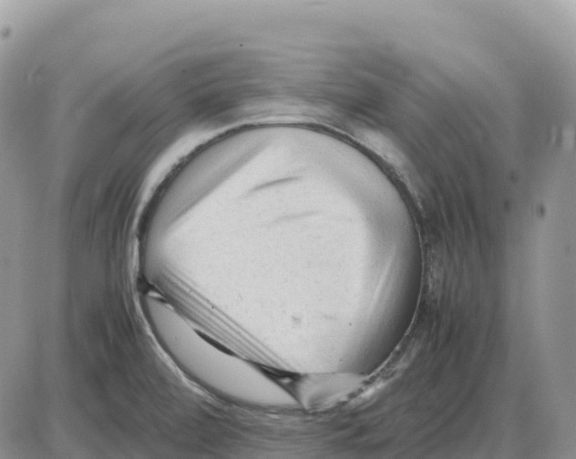 X0000086061472200704202048