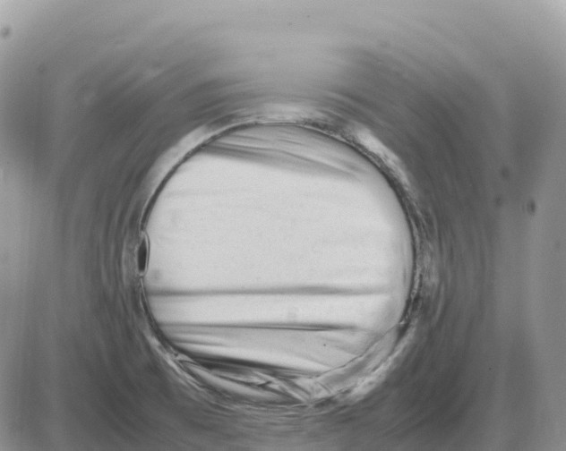 X0000086061473200704202048