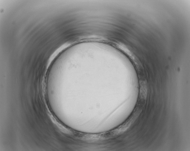 X0000086061474200704202048