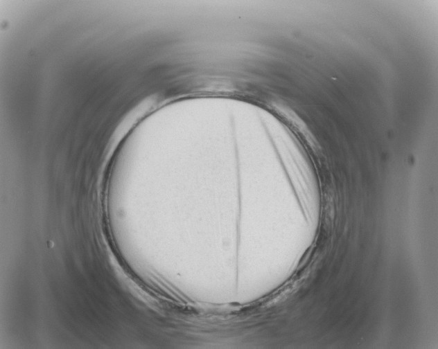 X0000086061475200704202048