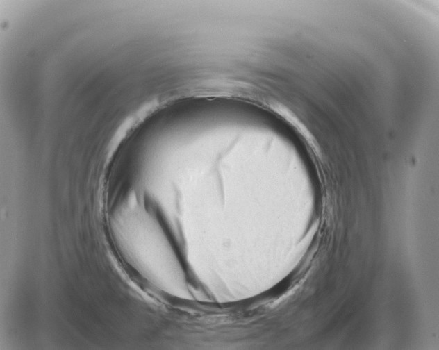 X0000086061477200704202048