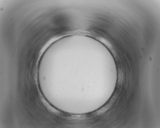 X0000086061478200704202048