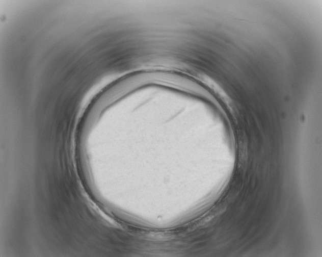 X0000086061480200704202048