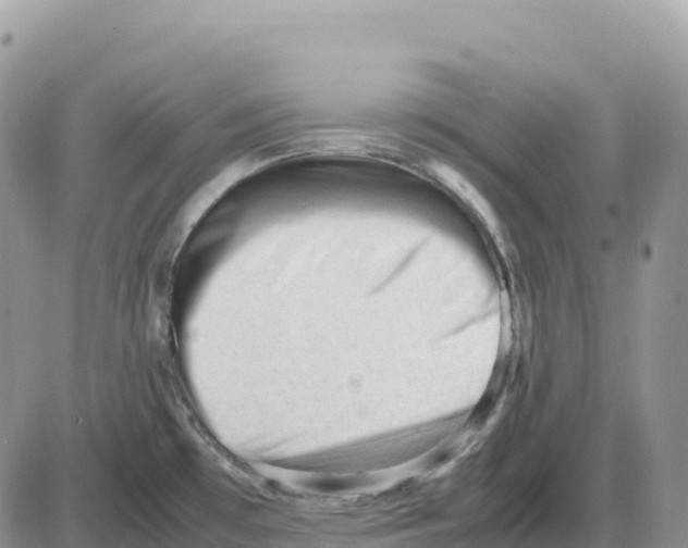 X0000086061481200704202048