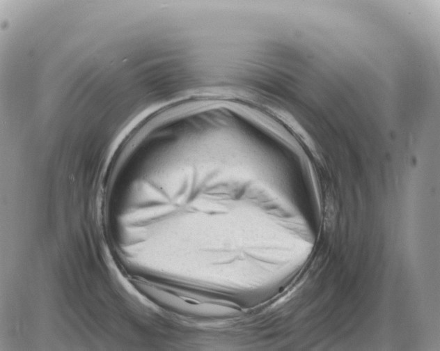 X0000086061484200704202048