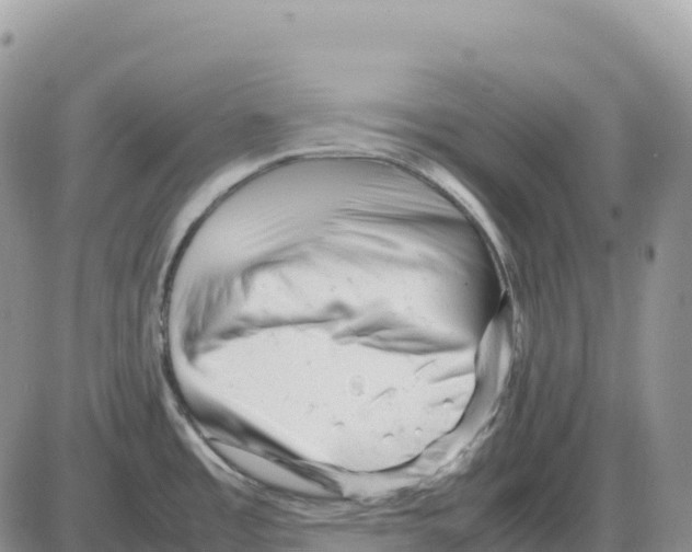 X0000086061485200704202048