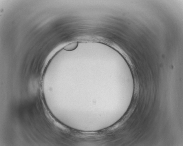 X0000086061486200704202048