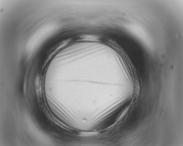 X0000086061487200704202048