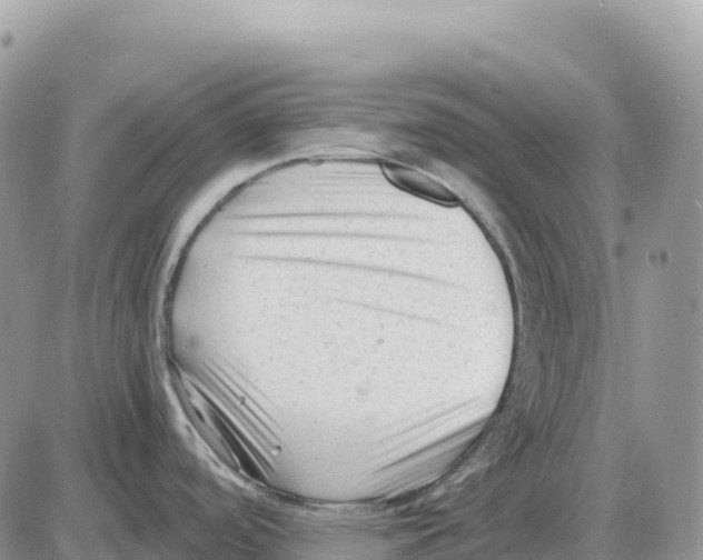 X0000086061488200704202048