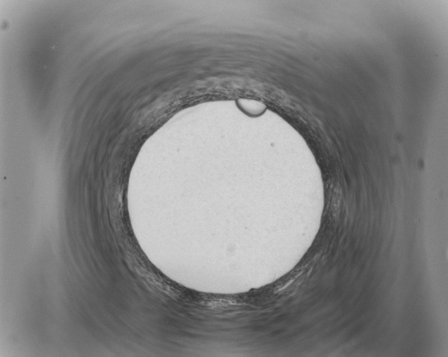 X0000086061489200704202047