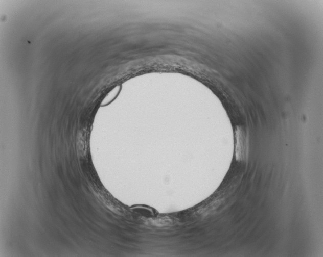 X0000086061491200704202047