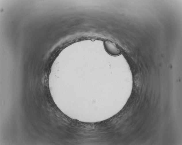 X0000086061495200704202048